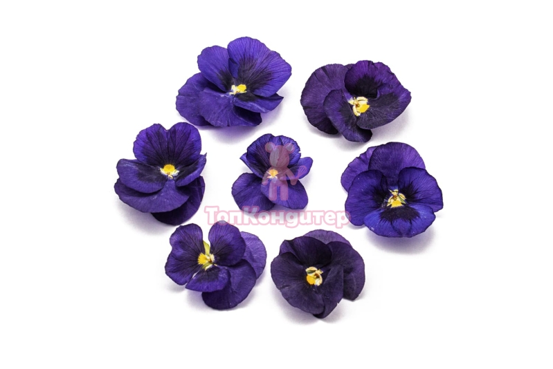 Виола обезвоженная "Полярная звезда" объёмная 15 шт