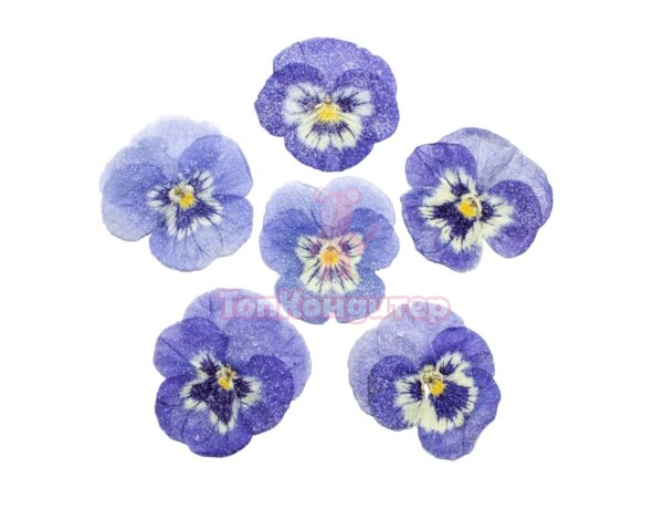 Засахаренный Обезвоженный съедобный цветок "Ледяная сказка" 6 шт