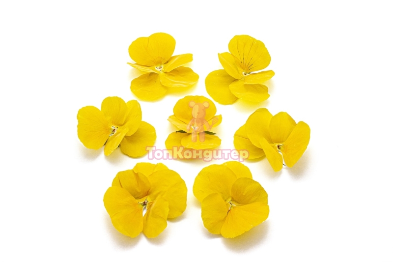 Виола обезвоженная "Солнечный рай" объёмная 15 шт